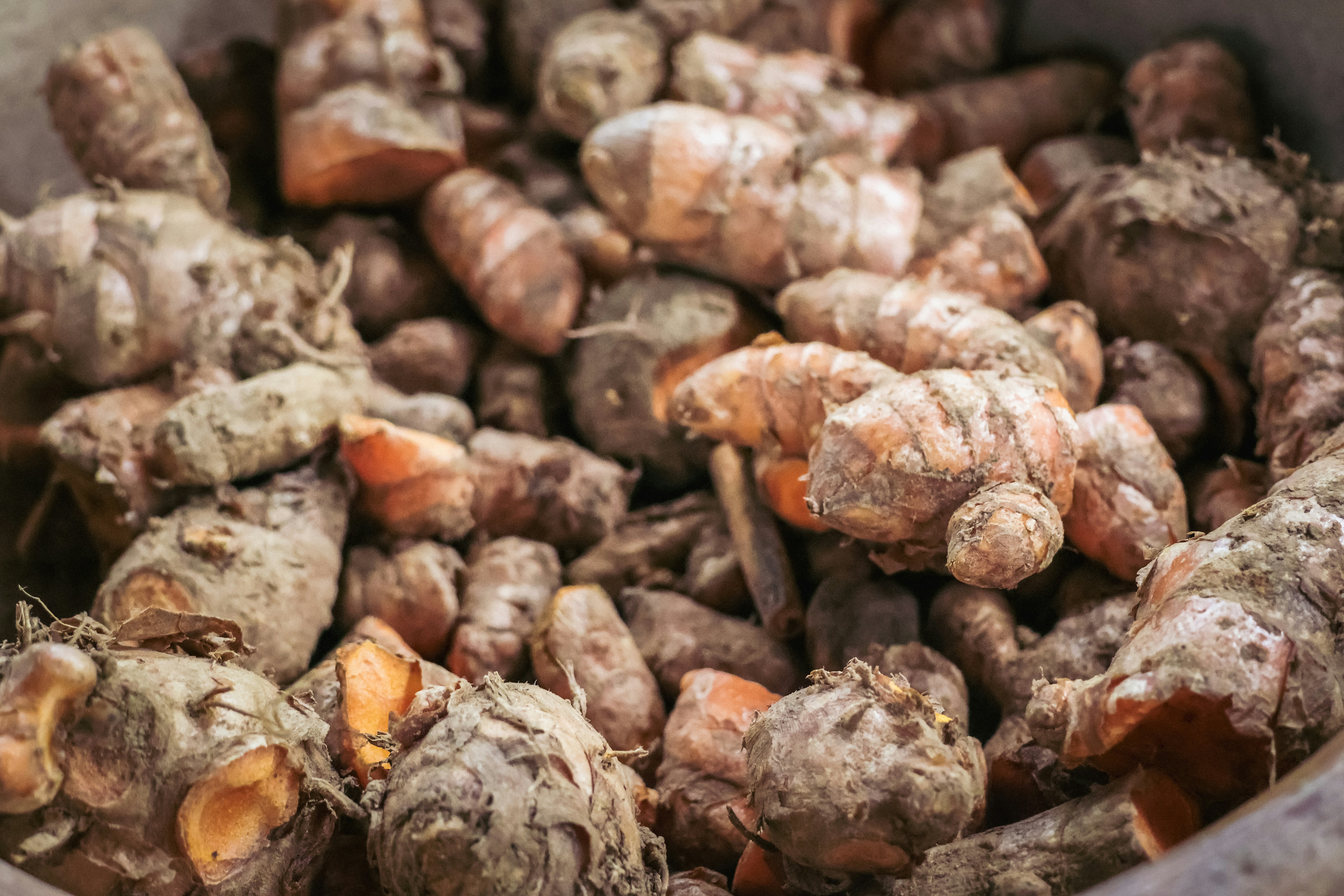 Year-Round Spice Supply
